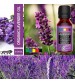 Organix Mantra Lavender Essential Oil Steam Distilled Natural Pure And Organic Serum 15ml